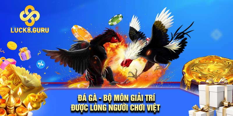 Đá gà - Bộ môn giải trí được lòng người chơi Việt 